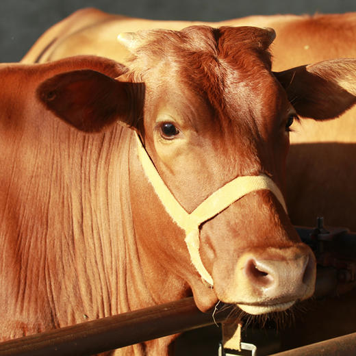 1000元礼品包 商品图10