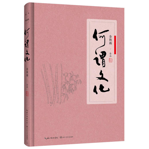 何谓文化 软精装 商品图0