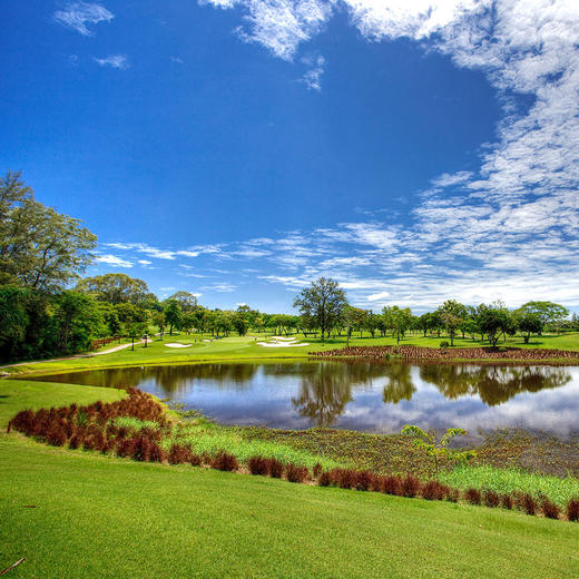 曼谷艾潘高尔夫俱乐部 Alpine Golf Club Bangkok| 泰国高尔夫球场 俱乐部 | 曼谷高尔夫 商品图2
