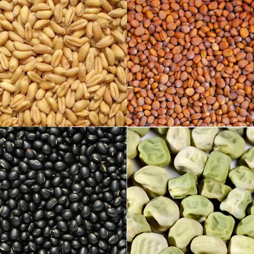 育苗4套套 商品图0