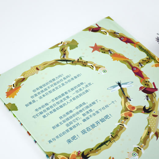 精装地板书：大自然迷宫 [3-6岁] 商品图4
