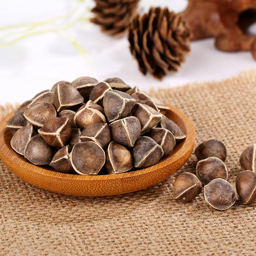 生命之果印度辣木籽