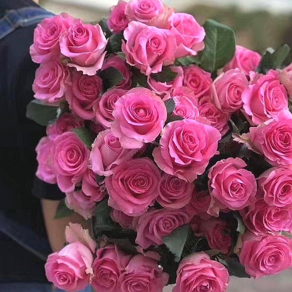 七夕团购斗南拍市直供彩玫混箱25扎