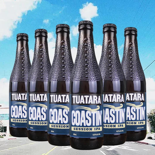 新西兰进口大蜥蜴海岸线印度淡色艾尔啤酒tuataracoastin039session