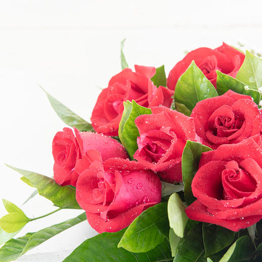 幸福久久（鲜花）共9朵，让爱长长久久，时刻陪伴左右-199（芜湖） 商品图1