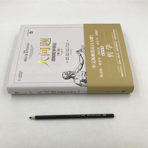 大问题：简明哲学导论（第10版） 商品图2