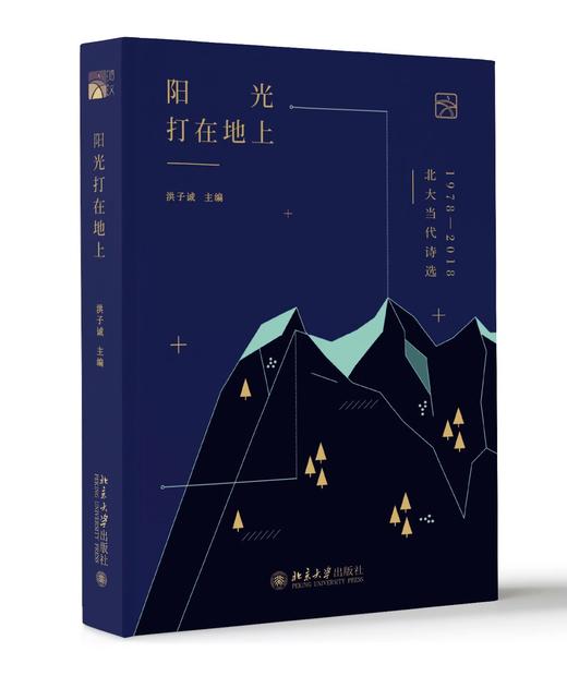 《阳光打在地上——北大当代诗选1978—2018》 商品图0