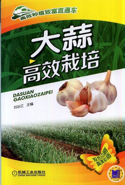 大蒜高效栽培机械工业出版社 正版书籍 商品图0
