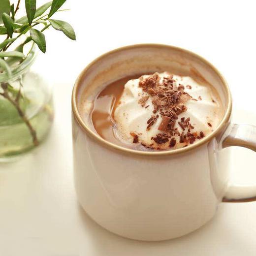 纯可可粉（无添加 香浓馥郁）| 南美洲的厄瓜多尔 商品图0