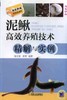 泥鳅高效养殖技术精解与实例机械工业出版社 正版书籍 商品缩略图0