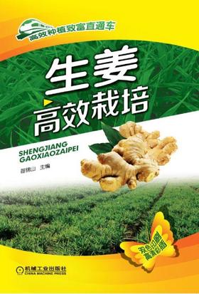 生姜高效栽培机械工业出版社 正版书籍