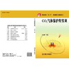 CO2气体保护焊实训机械工业出版社 正版书籍 商品缩略图0