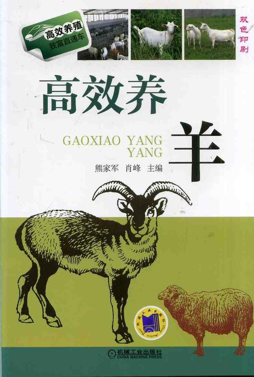 高效养羊机械工业出版社 正版书籍 商品图0