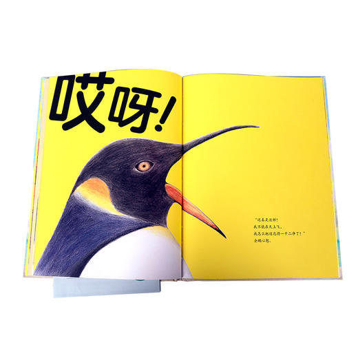 乐乐趣绘本-海鸥宅急送   适读年龄：3+   原价：35.8元 商品图3