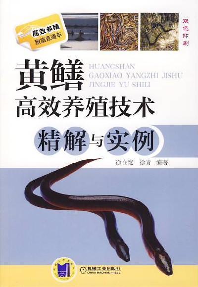 黄鳝高效养殖技术精解与实例机械工业出版社 正版书籍 商品图0