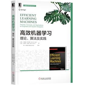 高效机器学习：理论、算法及实践机器学习、算法、深度学习