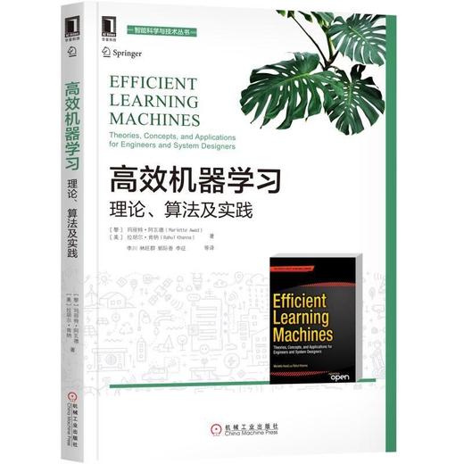 高效机器学习：理论、算法及实践机器学习、算法、深度学习 商品图0