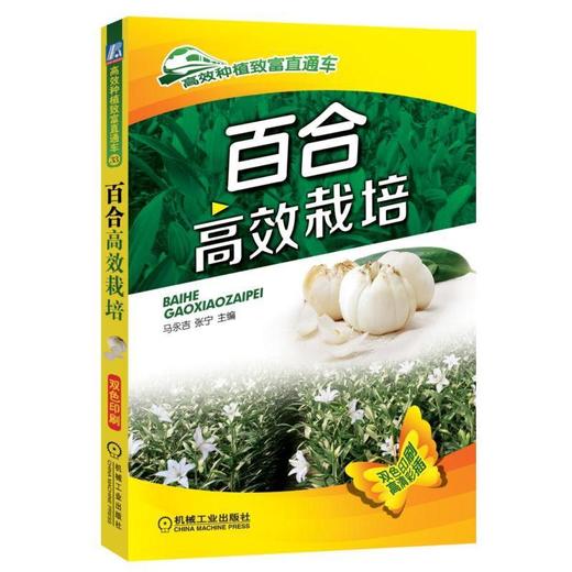 百合高效栽培百合 切花  高效  栽培  种植  百合干  百合花 商品图0