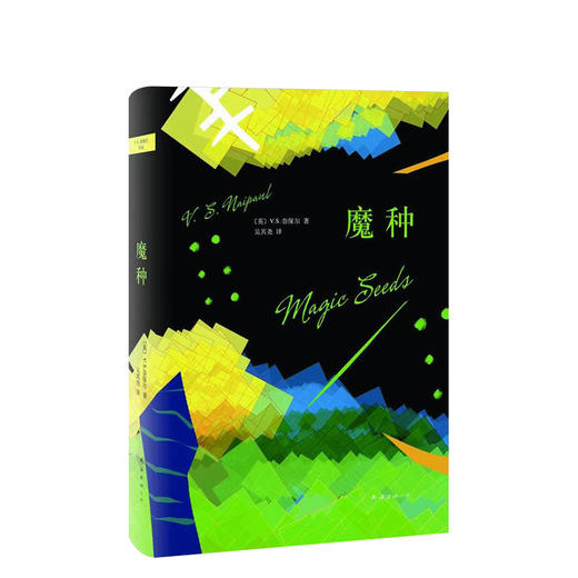 V.S.奈保尔：魔种 商品图0