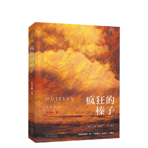 袁劲梅：疯狂的榛子 商品图0