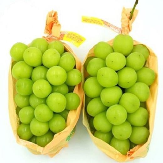 顺丰包邮日本晴王阳光玫瑰无籽青提提子高甜无籽带皮吃脆甜香浓现摘3