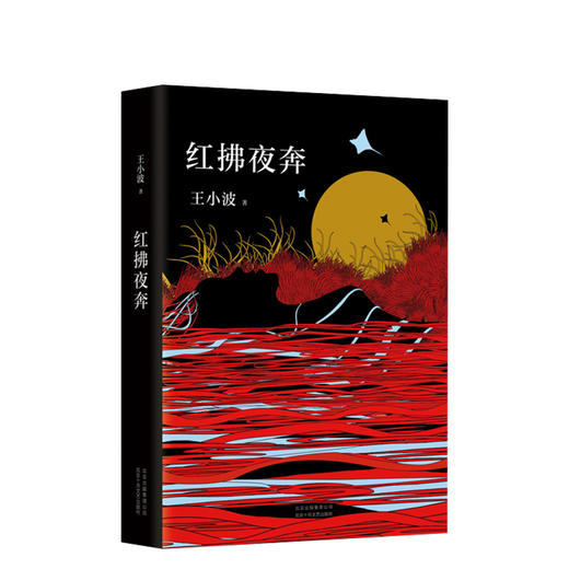 王小波：红拂夜奔 商品图0
