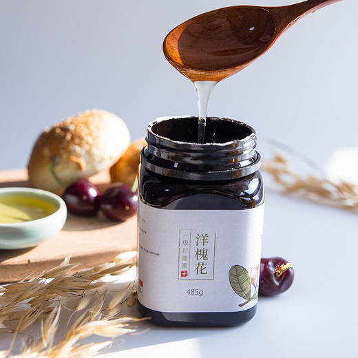 一级熟蜜罐装封盖蜜 蜂蜜 天然无污染 485g/罐 商品图5