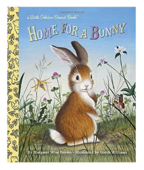 Home for a Bunny (Little Golden Board Book)金色童书：小兔子（卡板书）