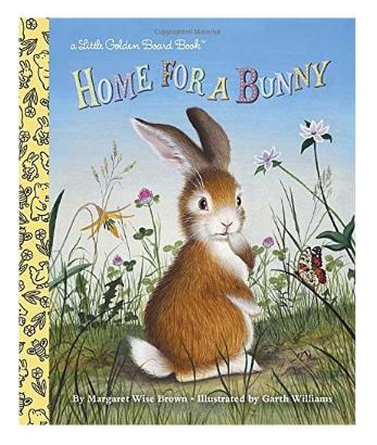 Home for a Bunny (Little Golden Board Book)金色童书：小兔子（卡板书） 商品图0