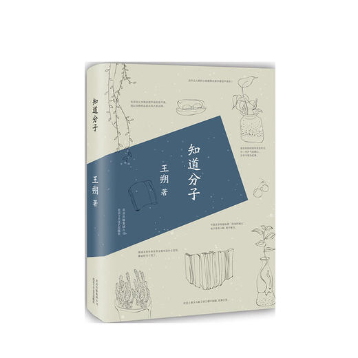 王朔：知道分子 商品图1