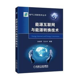 能源互联网与能源转换技术能源互联网 能源转换