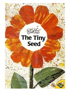 The Tiny Seed  小种子