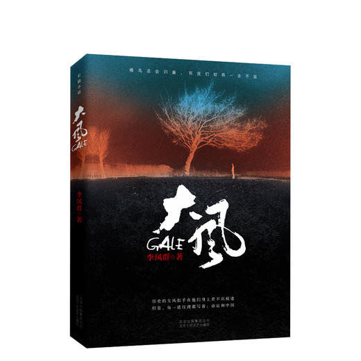 李凤群：大风 商品图0