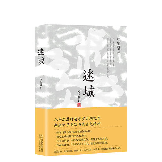 马笑泉：迷城 商品图0