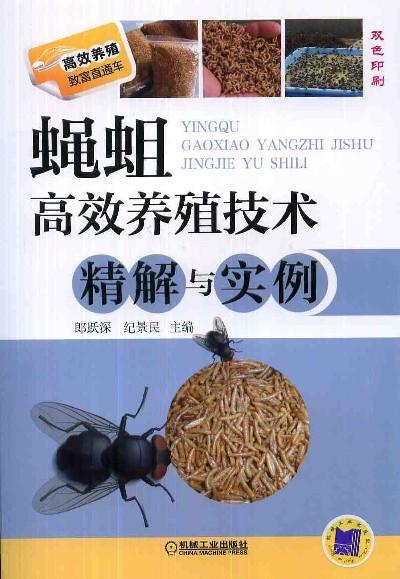 蝇蛆高效养殖技术精解与实例机械工业出版社 正版书籍 商品图0