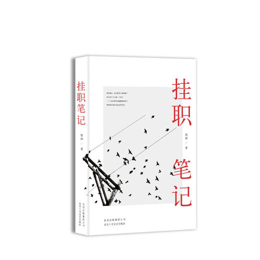 挂职笔记 商品图1