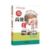 高效养猪 视频升级版 李和平 朱小甫 主编 猪舍 猪饲料配方设计 母猪 发情配种 妊娠与分娩 哺乳仔猪 育肥猪 提高瘦肉率 商品缩略图0