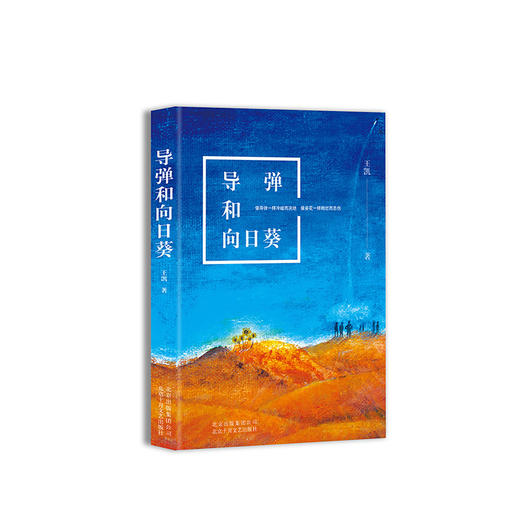 导弹和向日葵 商品图1