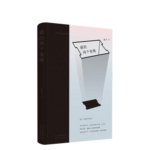 猫的两个夜晚 商品图0