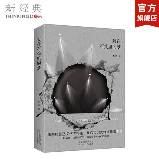 封在石头里的梦 商品图0