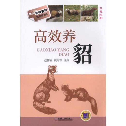 高效养貂貂  水貂  养殖  高效  无公害 规模化  工厂化 商品图0