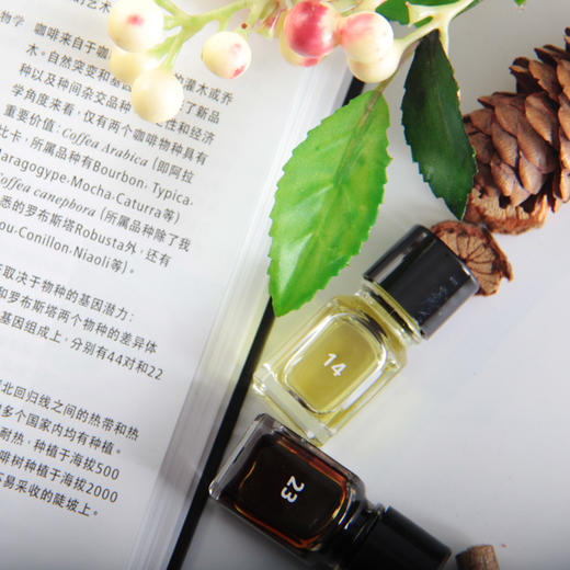 【咖啡玩家圣物】36香咖啡鼻子 商品图2