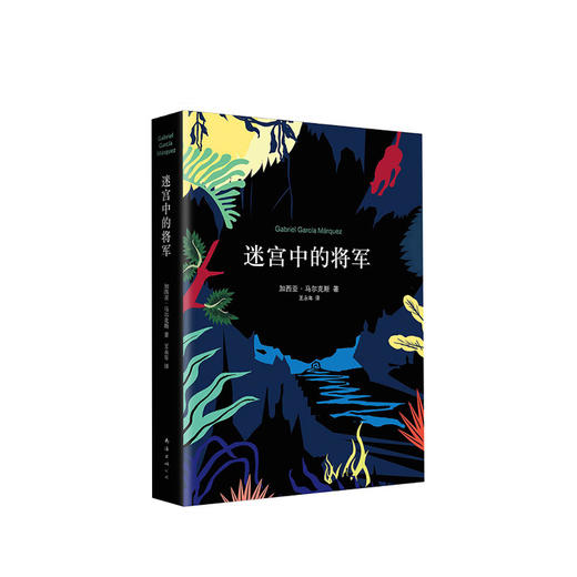 马尔克斯：迷宫中的将军 商品图0