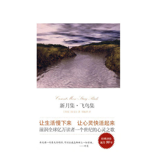 新月集飞鸟集 商品图1