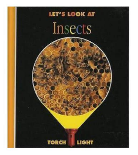 Let is Look at Insects 让我们看看昆虫