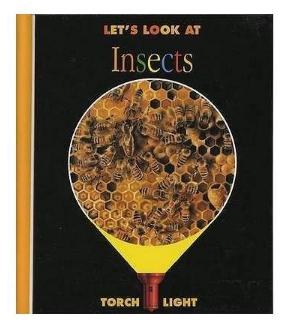 Let is Look at Insects 让我们看看昆虫 商品图0