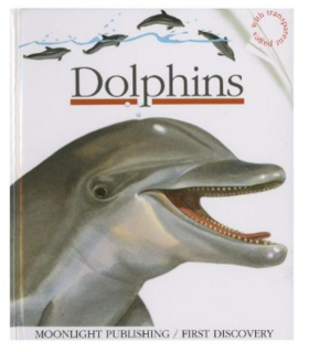 Dolphins 海豚