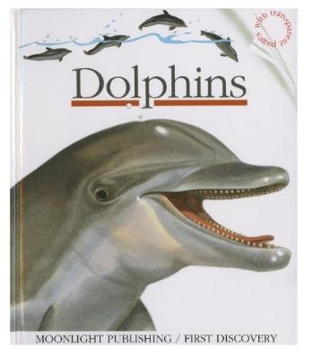 Dolphins 海豚 商品图0