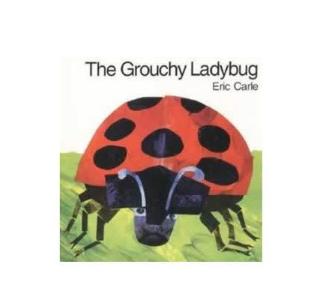 Grouchy Ladybug 坏脾气瓢虫(卡板书) 商品图0