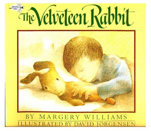 The Velveteen Rabbit (Dragonfly Books) 绒布小兔子 商品图0